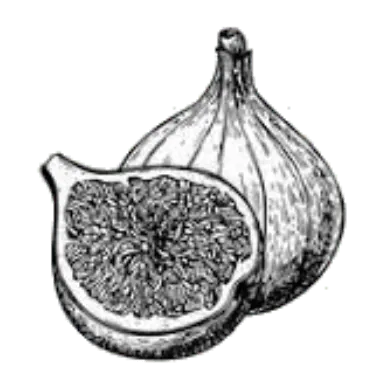 Orchard Properties fig icon