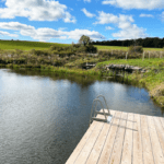 The ladder dock for pond swimming at French Woods Farmhouse