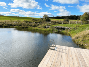 a ladder on the dock for easy swimming access