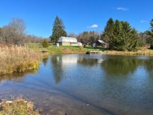 house & barn from the other side of the lower pond