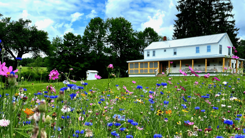 French Woods Farmhouse vacation rental Hancock NY hero photo