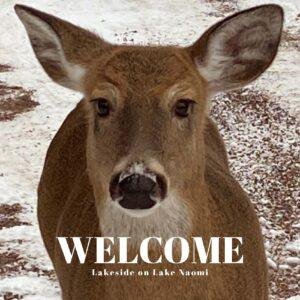 Cover of visitors guide book