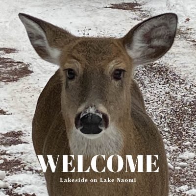 Lakside on lake Naomi cover